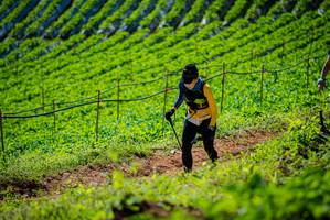 BIB: 
                            <button type="button" onclick="openModal(19162361)" class="btn btn-primary btn-sm float-right btn-popup" data-toggle="modal" data-target=".modal-high-quality">
                        <i class="fas fa-shopping-cart"></i> Add to Cart
                    </button>
                                            <button type="button" onclick="isThisMe(19162361, true)" class="btn btn-success btn-sm float-right btn-popup btn-isme hidden" data-toggle="tooltip" data-placement="bottom" title="นี่คือรูปของคุณใช่ไหม คลิกที่นี่เพื่อเอาเข้าอัลบั้ม">
                        <i class="fas fa-plus"></i> Add to album
                    </button>
                    <button type="button" onclick="isThisMe(19162361, false)" class="btn btn-warning btn-sm float-right btn-popup btn-isnotme hidden">
                        <i class="fas fa-ban"></i> Remove from album
                    </button>